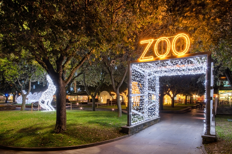 Get Festive at the Johannesburg Zoo Festival of Lights
