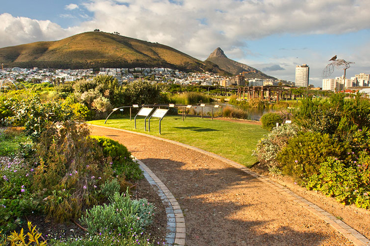 5 Reasons Why You Must Visit The Cape Town Green Point Park 5 Reasons Why You Must Visit The Cape Town Green Point Park