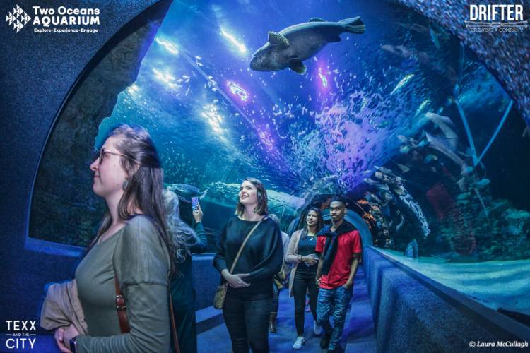 Enjoy Music & Good Vibes with After Dark at Two Oceans Aquarium