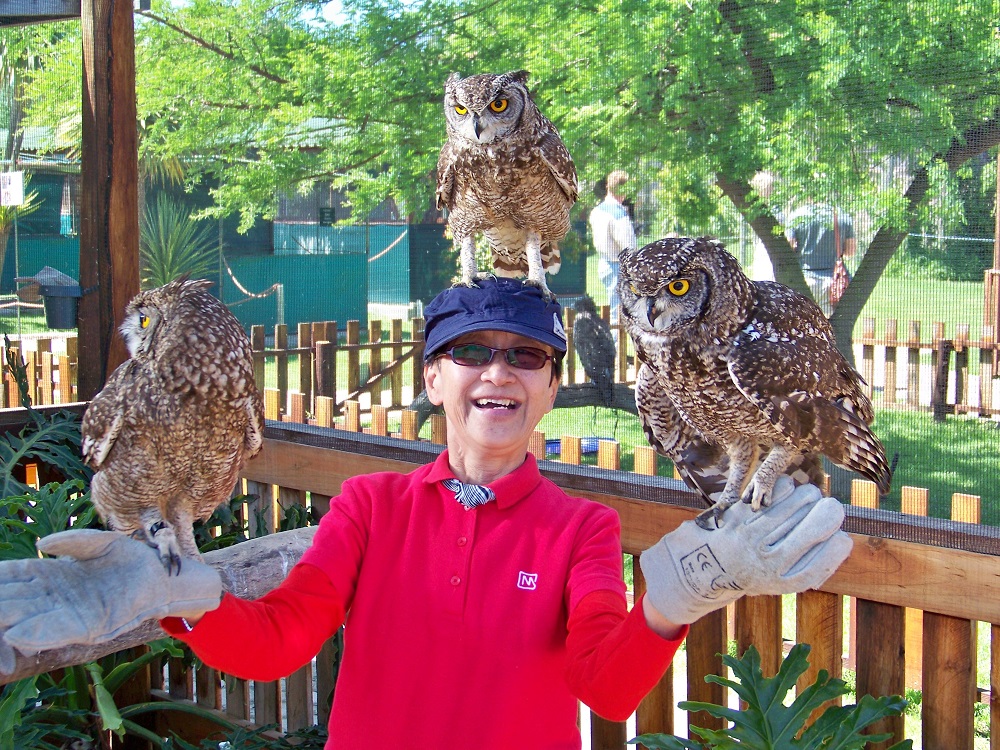 Eagle Encounters