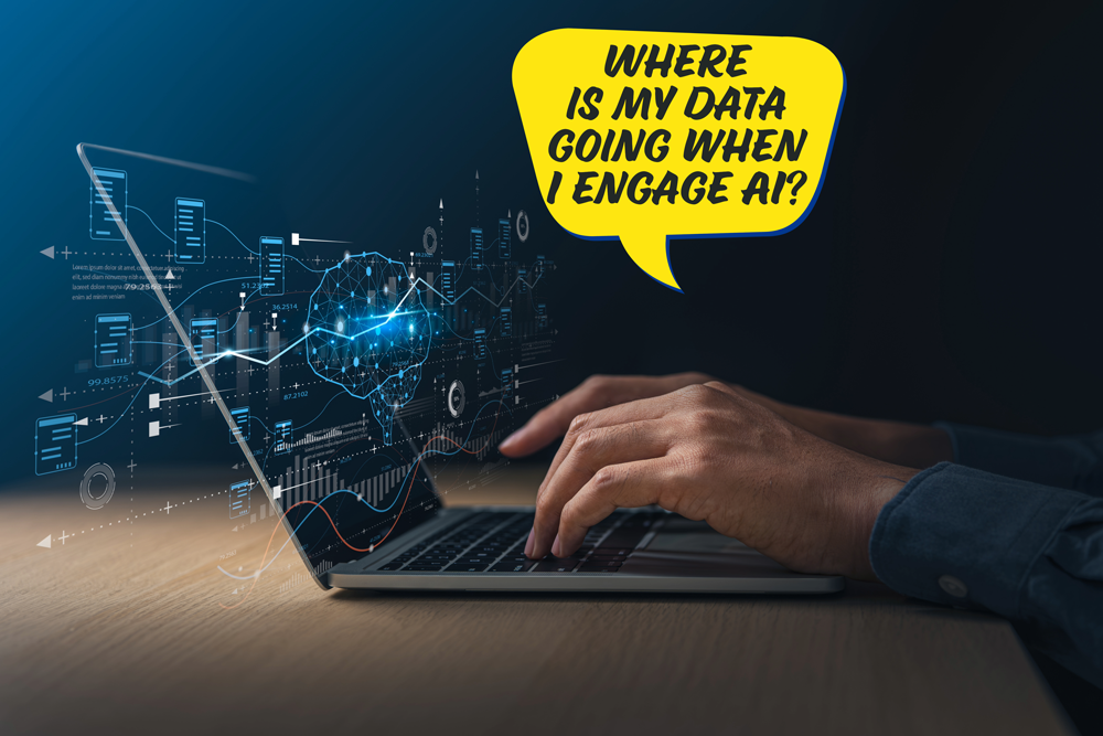 where is my data going with AI