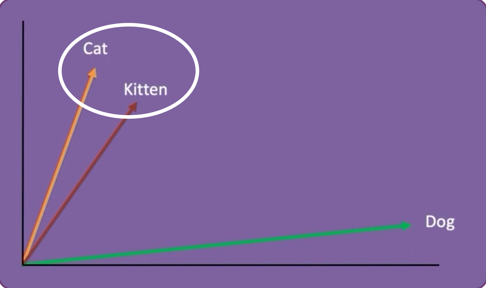 multi-dimensional vector