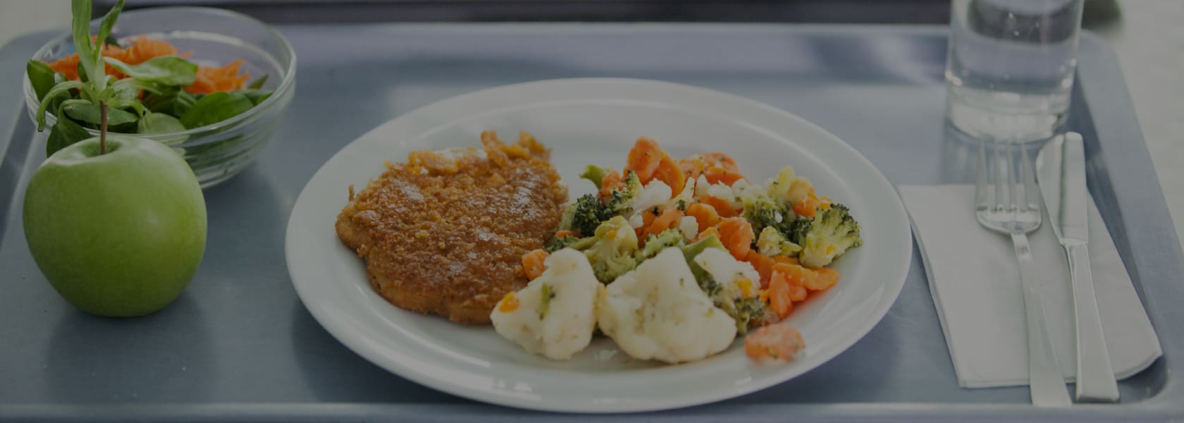 Food Safety