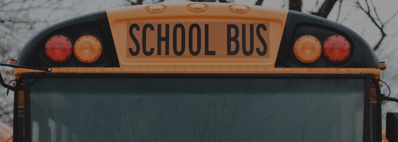 School Bus Expert Witnesses