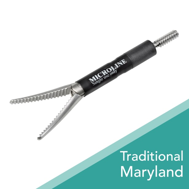 Traditional Maryland