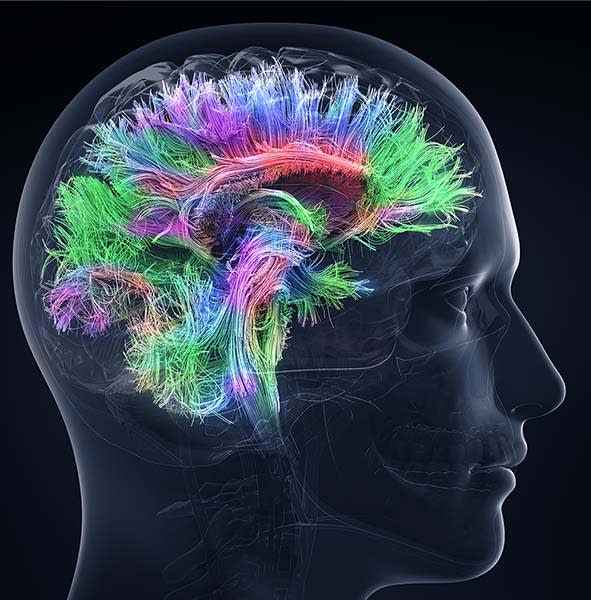 March Is Brain Injury Awareness Month: What You Should Know