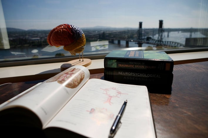 Brain anatomical model and book