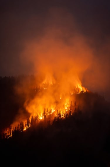 Three Key Principles in Total Loss Wildfire Insurance Claims