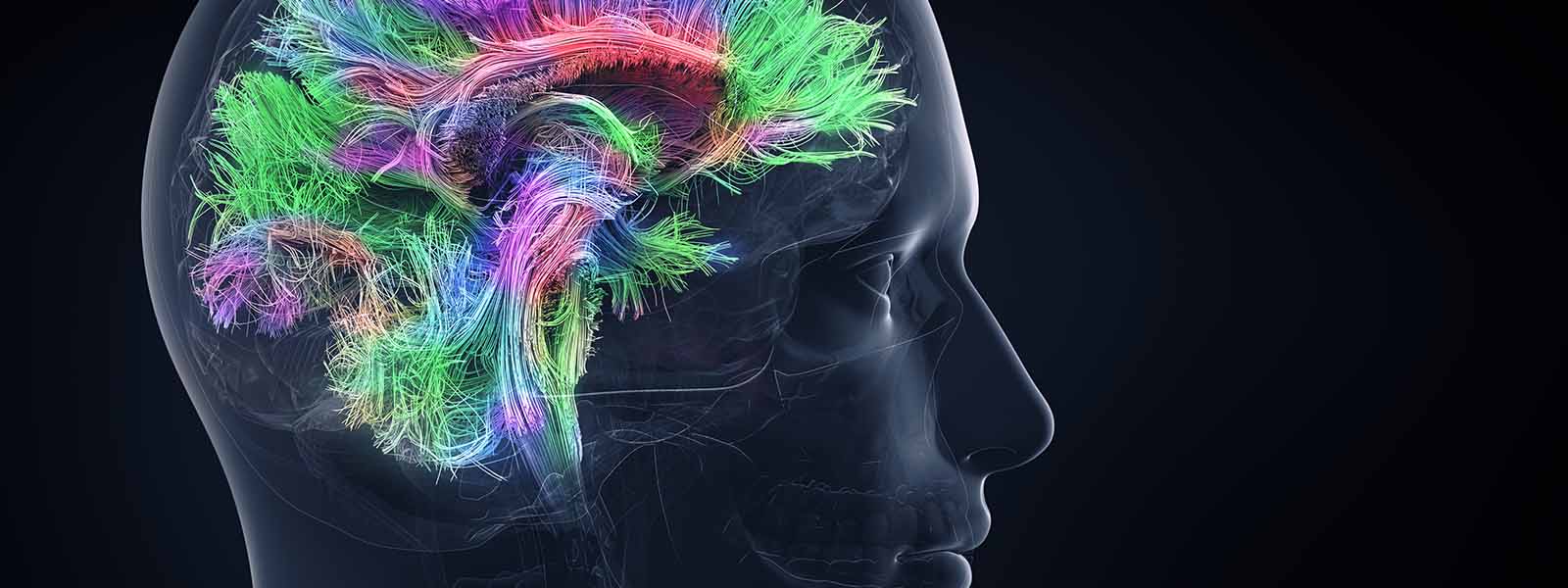 March Is Brain Injury Awareness Month: What You Should Know