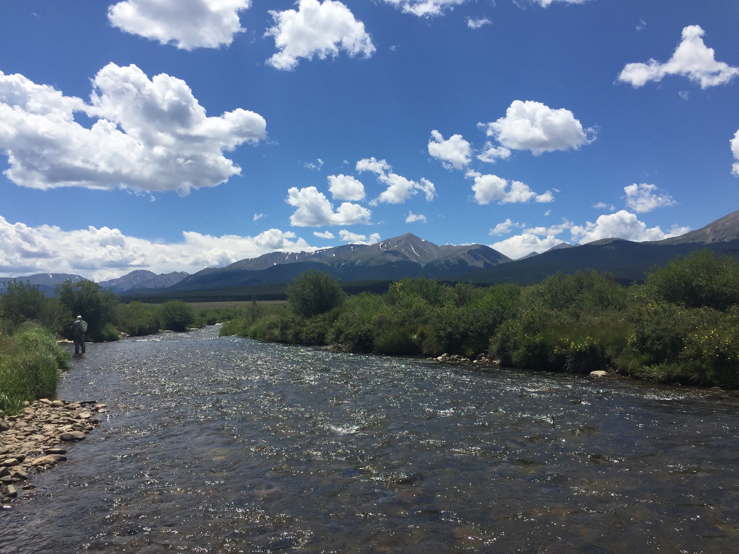 Photo #18