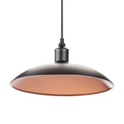 Taklampe Pendant 310