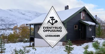 Eventyrlig Oppussing:</br> Sjøholt får eventyrlig forvandling i tillegg til vann og strøm