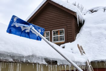 Avalanche taksnørake