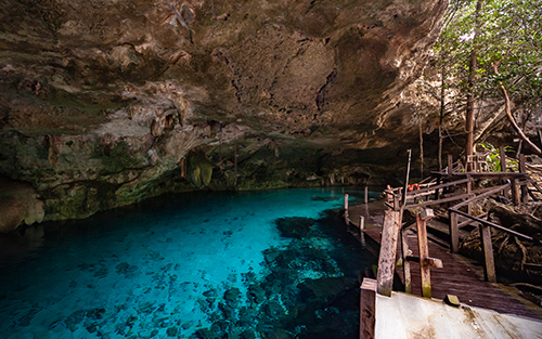 Perfecto para quienes buscan actividades en Cancún para explorar la naturaleza.
