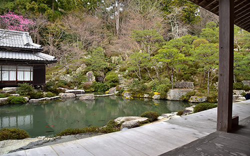 Perfecto para quienes buscan relajación durante su viaje a Japón. Reserva vuelo, hotel, paquete o seguro de viaje en viajes.travel.cl