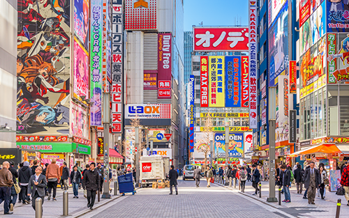 Ideal para quienes buscan un viaje a Japón urbano y tecnológico.