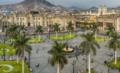 Palmetto Hotel Business San Borja