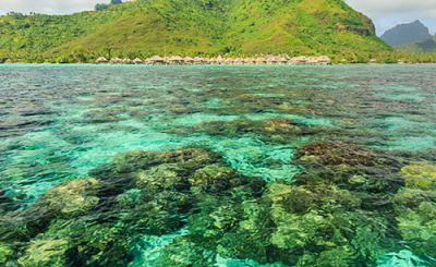 Papeete, Moorea & Bora Bora