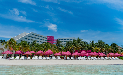 Grand Oasis Palm