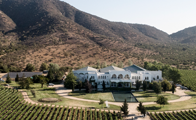 Tour, degustación y almuerzo en Casa Valle Viñamar