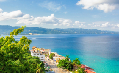 Secrets Wild Orchid