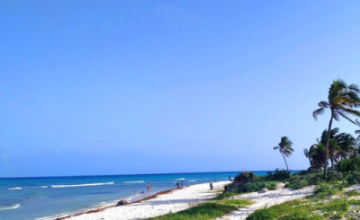 Ocean Riviera Paradise