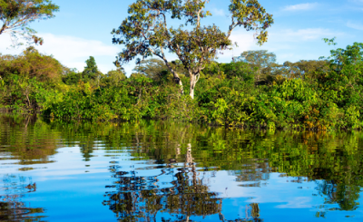 Amazonas de Lujo en Aria Amazon