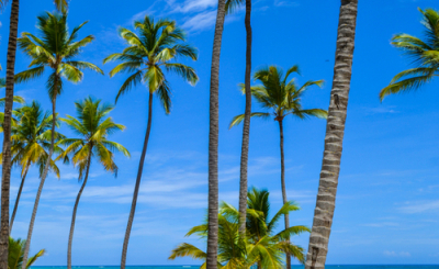 Bahia Principe Grand la Romana