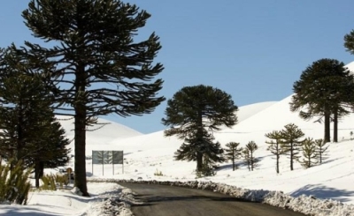 Valle de Corralco Hotel & Spa