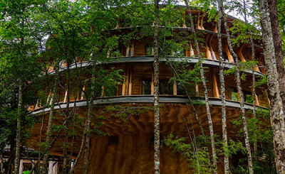 Reino Fungi Lodge increíble