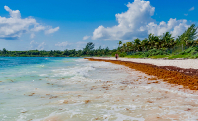 Paradisus la Perla