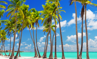 Riu Palace Bavaro