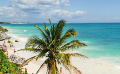 Disfruta hoteles Bahia Principe