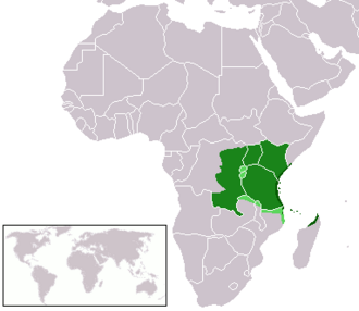 Swahili-Kingwana