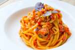 pici pasta with pomodoro sauce and shrimp | Classpop Shot