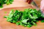 chef chopping cilantro | Classpop Shot