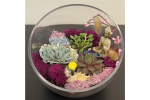 Bay Area - Crystal Terrarium (2) Shot