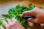 Colorado Springs - cutting cilantro Shot