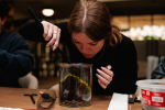 Homemade Terrariums