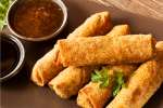 Egg rolls with taco filling Shot