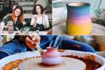 Pottery-Making and Painting for Beginners - Boston