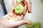 Falafel Making | Classpop Shot