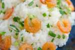 Shrimp with Sticky Rice | Classpop Shot