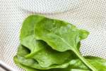 wet spinach | Classpop Shot