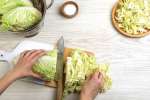 Cutting Napa cabbage | Classpop Shot