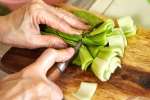 Preparing Bok Choy | Classpop Shot