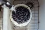 rinsing fresh blueberries in a colander Shot