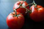 Fresh tomatoes | Classpop Shot