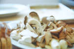 wild mushrooms | Classpop Shot