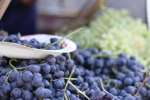 grapes at a farmers' market | Classpop Shot